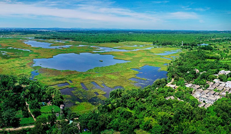 海口潭豐洋省級濕地公園水草豐茂。海口市濕地保護管理中心供圖
