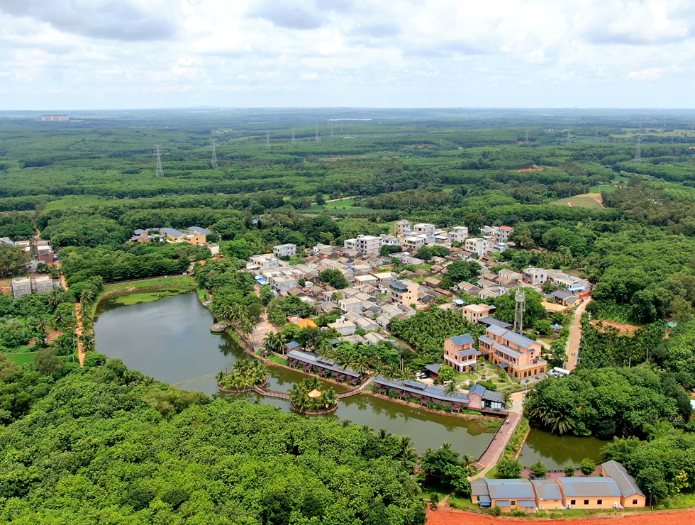 大豐鎮才存村