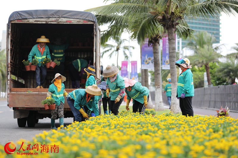 園林工人正在擺放新的花卉。人民網 符武平攝
