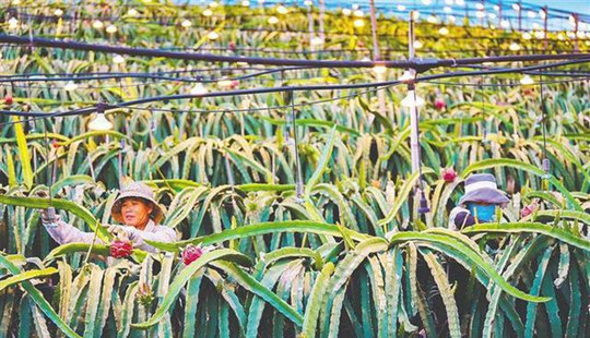 未來5年，東方聚焦“五大中心”之——區(qū)域經(jīng)濟中心