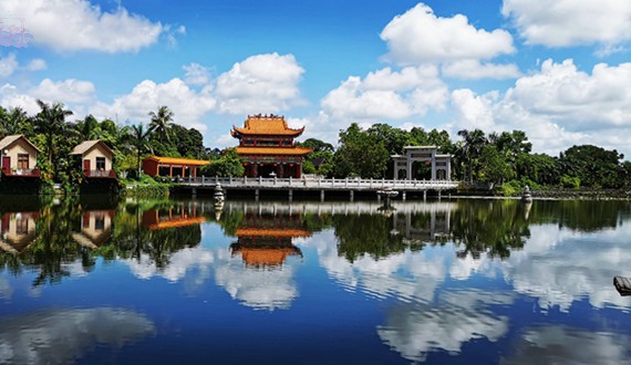 澄邁塘口村：荷香景美入畫來 鄉村旅游正當時