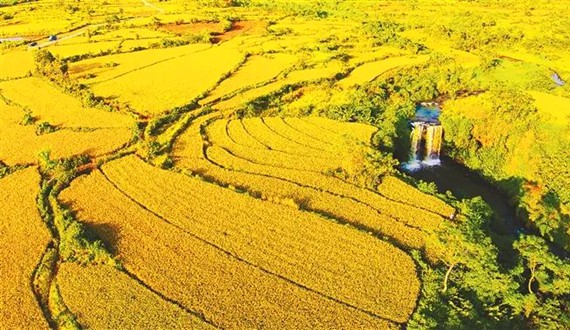 澄邁永發鎮南軒村風光