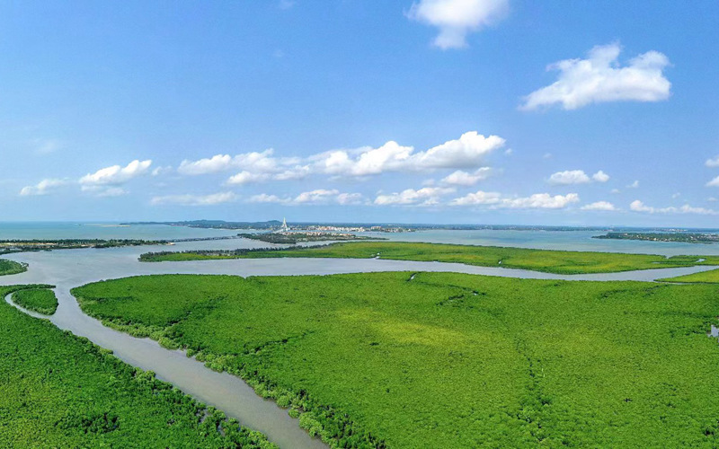 ?？诮瓥|新區持續推進生態文明建設，“綠色成果”遍地開花。海口江東新區管理局供圖