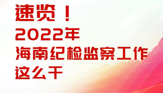 速覽！2022年海南紀檢監察工作這么干