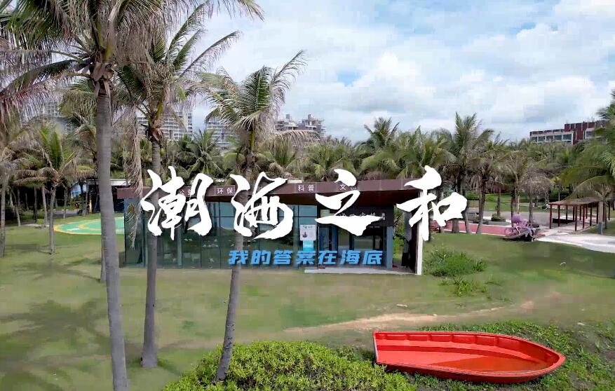 潮海之和，我的答案在海底