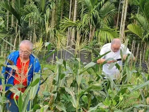 鴻雁“候鳥”人才工作站引進項目迎來收獲