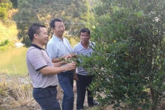 生態科技特派員到田間地頭開展產業技術指導