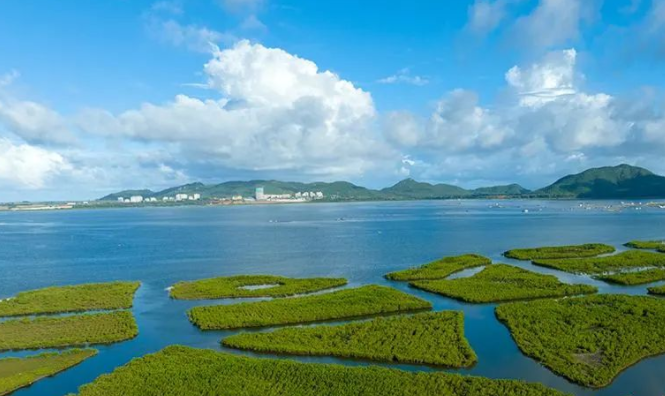 俯瞰海南陵水紅樹林國家濕地公園（試點）