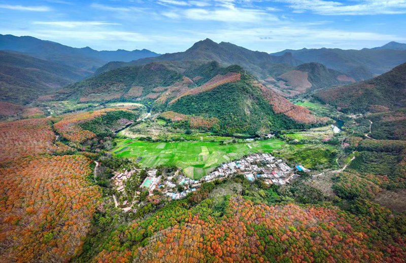 王下鄉美景。昌江縣委宣傳部供圖