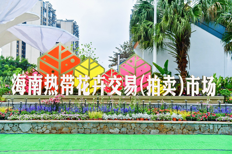 海南熱帶花卉交易（拍賣）市場。主辦方供圖