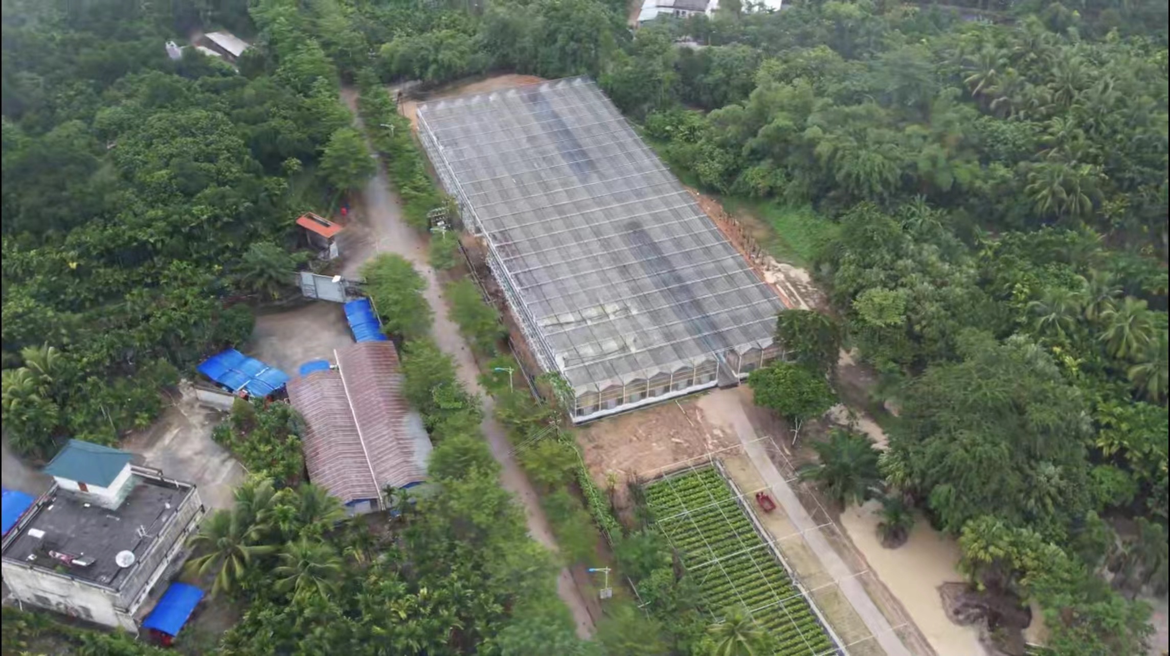建設中的七仙嶺全球熱帶水果博覽中心（局部）。