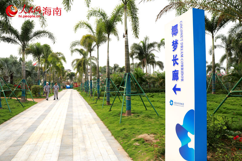 椰夢長廊。 人民網(wǎng) 孟凡盛攝