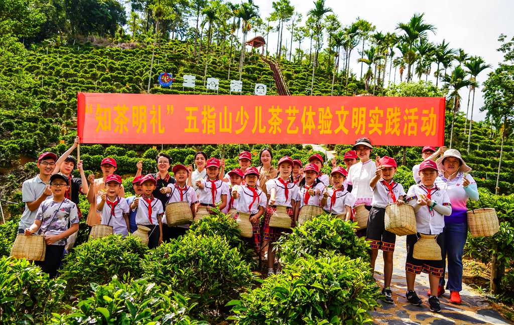 海南省五指山市組織開展“知茶明禮”少兒茶藝體驗(yàn)活動。付金城攝