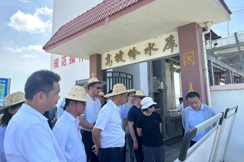 調研現場。海南省治水辦供圖