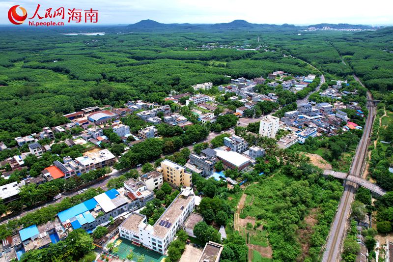 儋州市雅星鎮。 人民網記者 孟凡盛攝