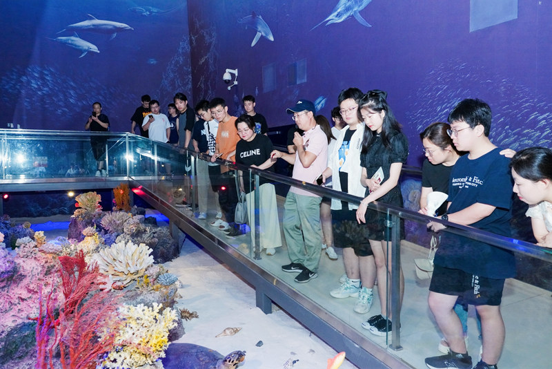 參賽隊(duì)伍參觀博物館。主辦方供圖