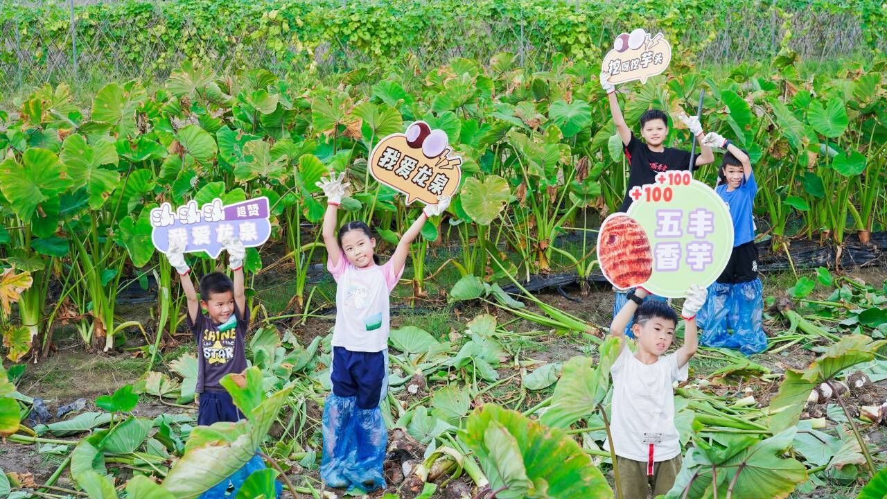 活動現場。主辦方供圖