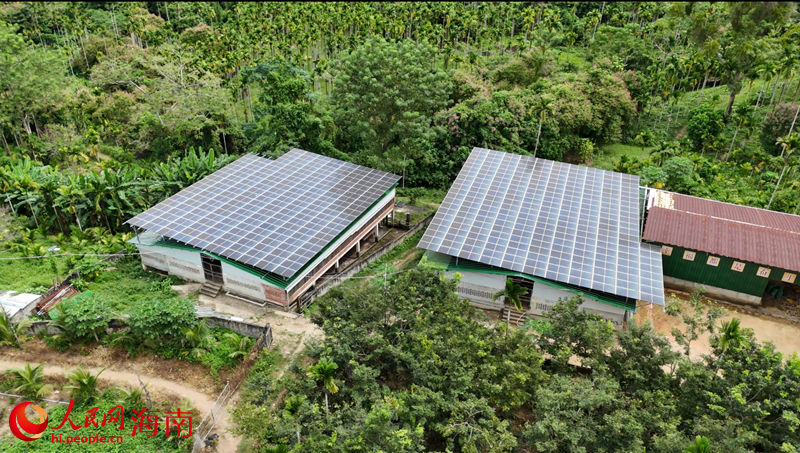抱前村利用屋頂進(jìn)行光伏發(fā)電，給村里帶來收入。人民網(wǎng)記者 牛良玉攝