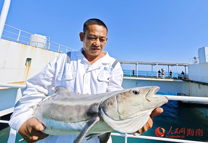 工作人員向記者展示剛出水的軍曹魚。人民網記者 牛良玉攝