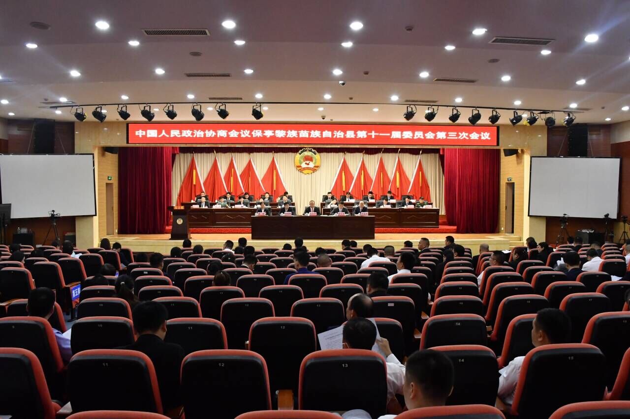 會議現場。保亭縣委宣傳部供圖