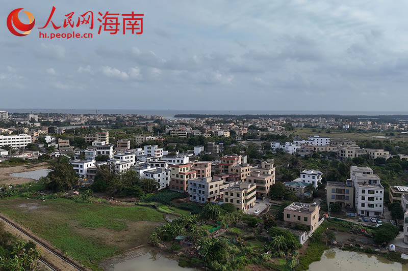 海口仲愷村：鄉(xiāng)村風(fēng)景美如畫 振興產(chǎn)業(yè)紅如火