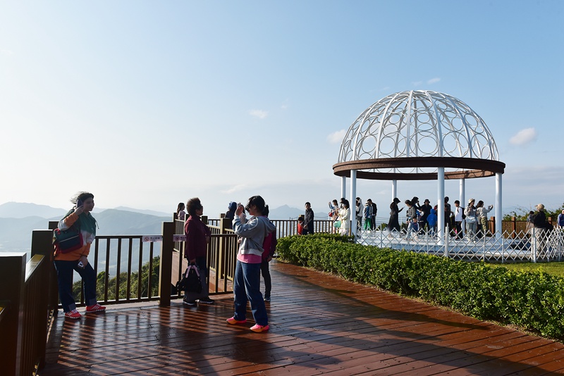 1月26日，寒假伊始，眾多游客漫步在亞龍灣熱帶天堂森林旅游區賞花觀景，登高望遠，體驗熱帶雨林游的樂趣，樂享暖冬三亞的美麗風光。黃慶優攝
