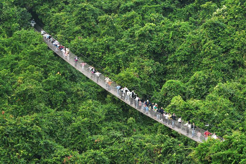 1月26日，寒假伊始，眾多游客漫步在亞龍灣熱帶天堂森林旅游區賞花觀景，登高望遠，體驗熱帶雨林游的樂趣，樂享暖冬三亞的美麗風光。黃慶優攝
