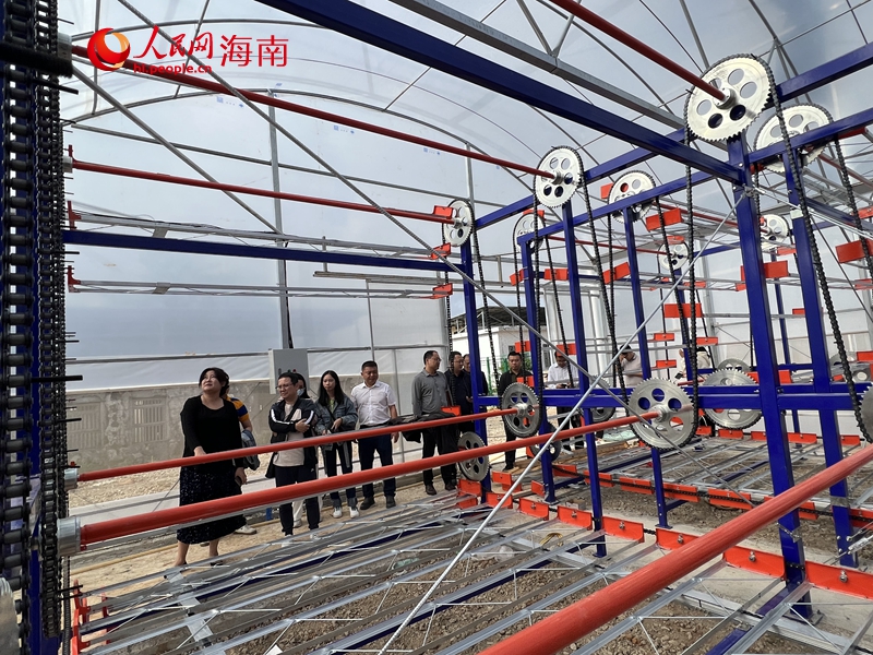 建設中的自動化育秧車間。人民網記者 李學山攝