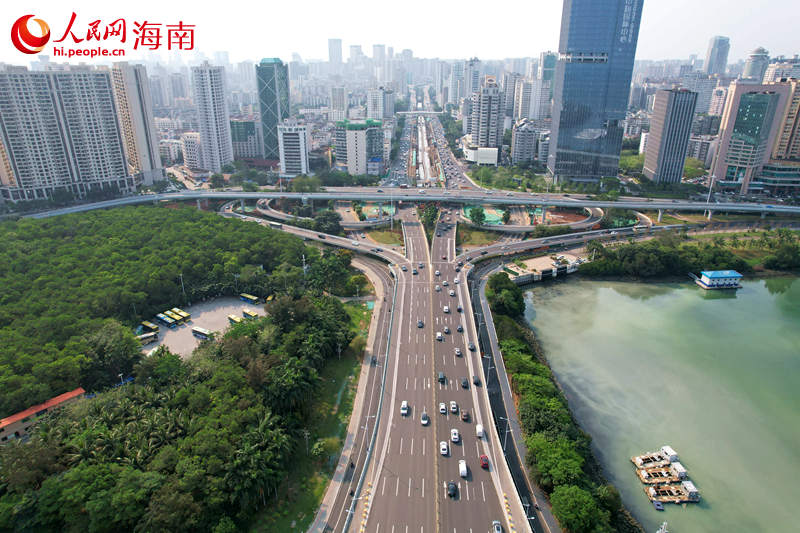 濱海立交全景。 人民網記者 孟凡盛攝