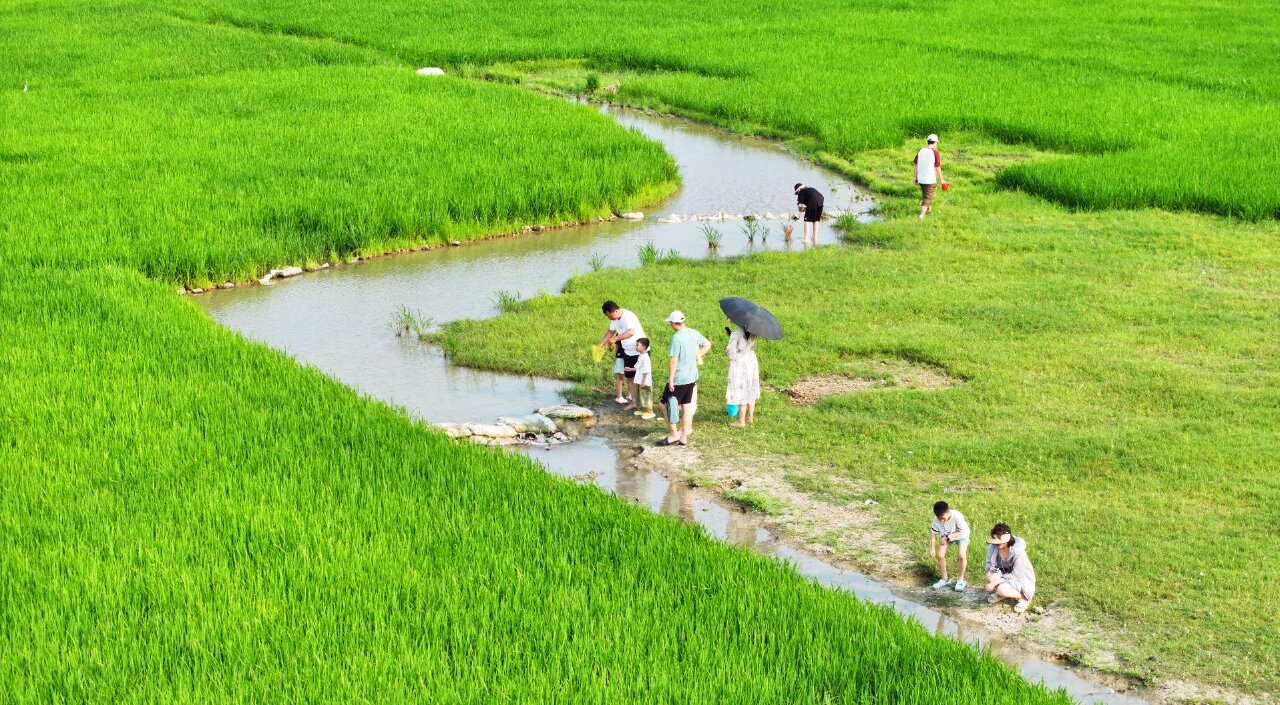 田園風(fēng)光無限好。海口旅文局供圖