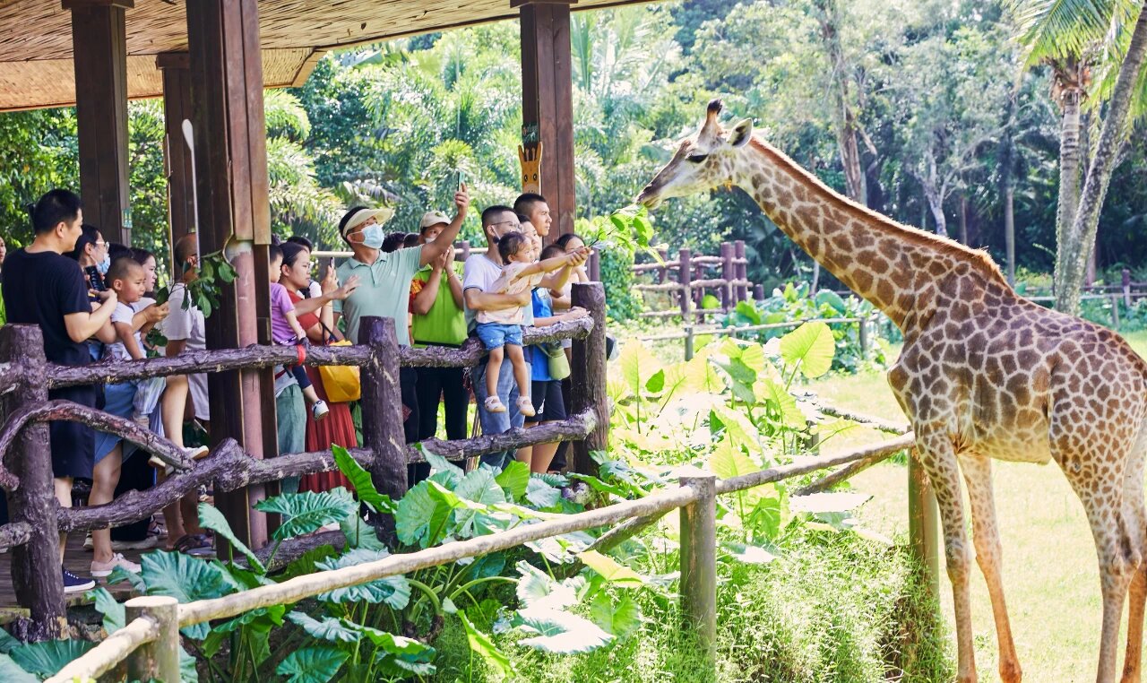 動物園里人氣王。海口旅文局供圖