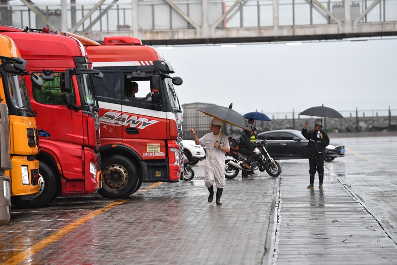 海口新海港工作人員雨中引導車輛。孫士杰攝 