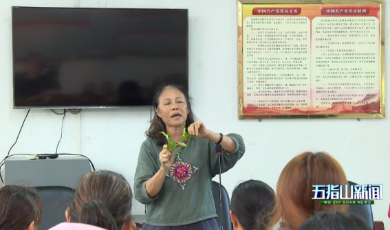 基地負責人在五指山茶業采摘標準技能培訓班上授課。