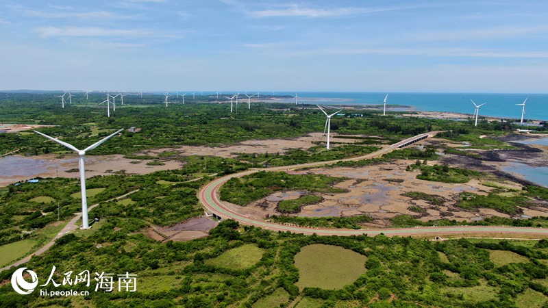 儋州峨蔓火山巖海岸的綠色美景。人民網記者 符武平攝