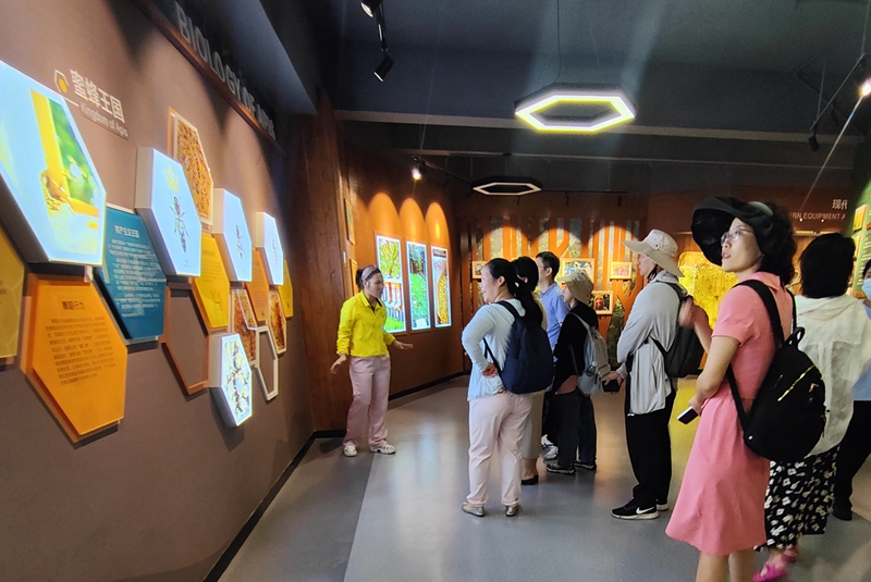 自媒體達(dá)人參觀蜜蜂科普教育基地。符少麗攝