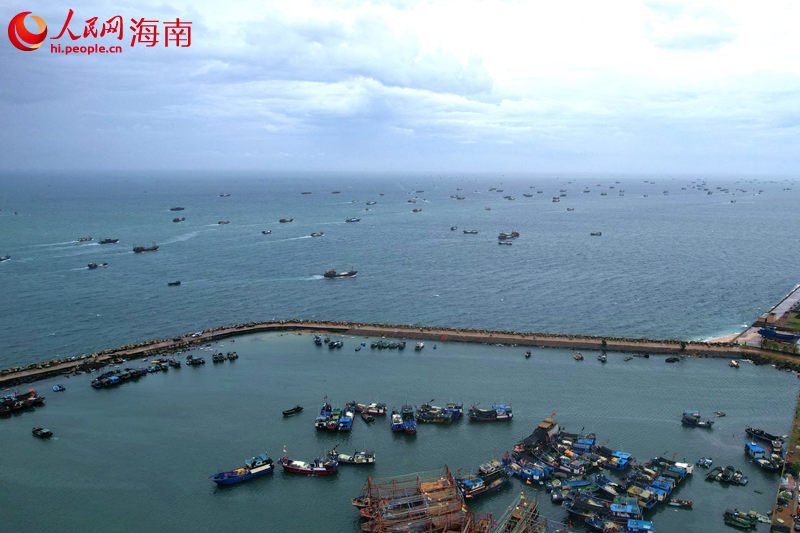 五百余艘漁船駛向大海，開(kāi)啟捕魚(yú)之旅。人民網(wǎng)記者 孟凡盛