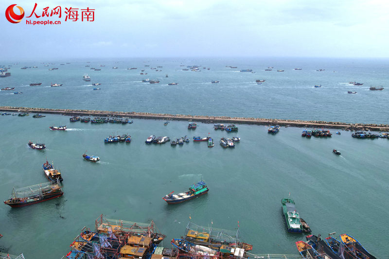 五百余艘漁船駛向大海，開(kāi)啟捕魚(yú)之旅。人民網(wǎng)記者 孟凡盛