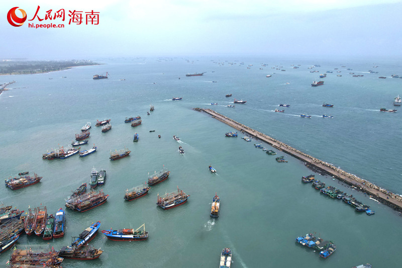 五百余艘漁船駛向大海，開(kāi)啟捕魚(yú)之旅。人民網(wǎng)記者 孟凡盛攝