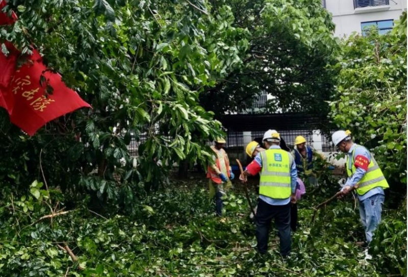青年突擊隊在瓊海市玉海南路清理道路兩邊及周邊居民家門口倒伏的樹木。 中建一局海南分公司供圖