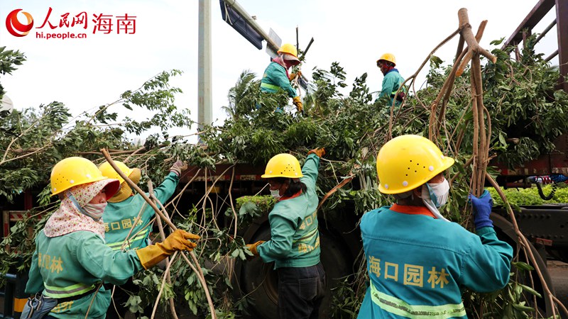 海口園林工人在清理災(zāi)害現(xiàn)場。人民網(wǎng)記者 符武平攝