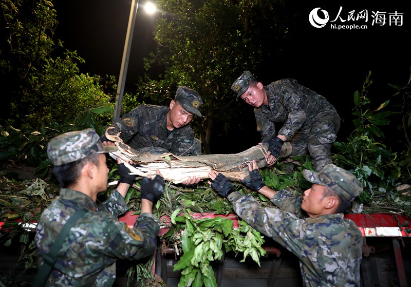 武警海南總隊海口支隊的官兵正在清理粗壯的樹干。人民網記者 符武平攝.JPG