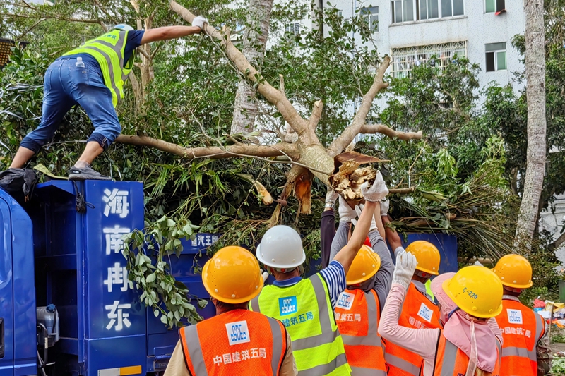 2.救援人員在文昌市教育局現場清理倒伏樹木。李玉祥攝