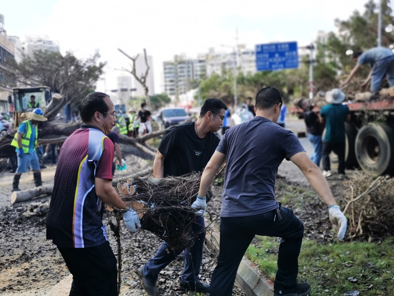 海南省自然資源和規(guī)劃廳動(dòng)員黨員干部參與災(zāi)后恢復(fù)。海南省自然資源和規(guī)劃廳供圖
