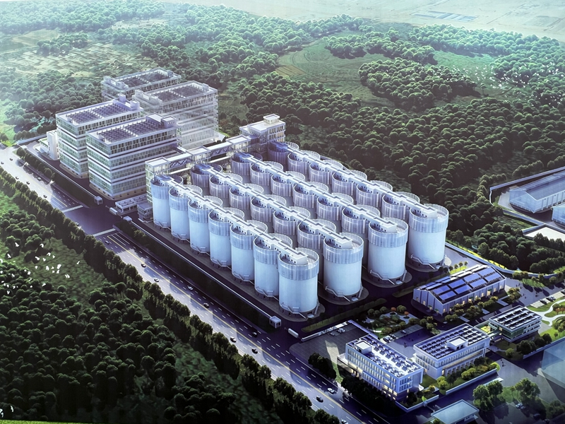 30萬噸省級糧食倉儲項(xiàng)目效果圖。人民網(wǎng)記者 李學(xué)山攝