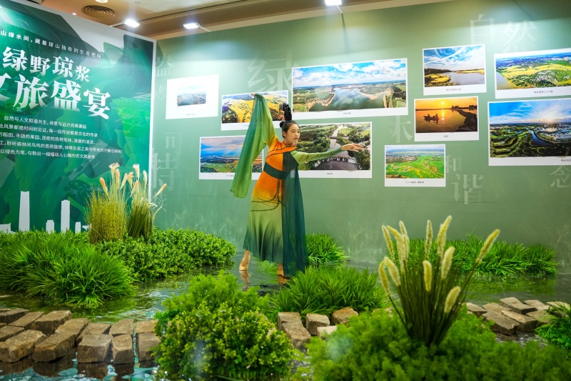 生態(tài)瓊山展區(qū)。 主辦方供圖.jpg