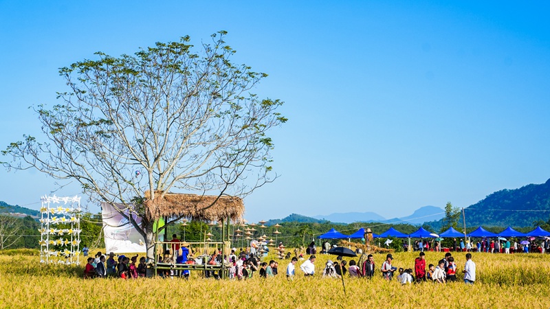 2024年“雨林與您”體驗(yàn)活動(dòng)開(kāi)幕式暨“雨林時(shí)光——啦奧門(mén)雨林豐收狂歡節(jié)”實(shí)景演出現(xiàn)場(chǎng)。主辦方供圖