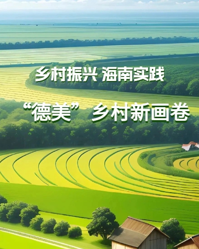 “德美”鄉村新畫卷