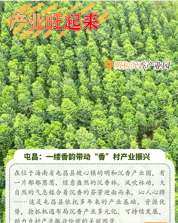 請查收海南美麗鄉村蝶變記