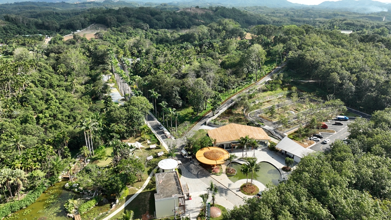 保亭七仙嶺全球熱帶水果博覽中心供圖