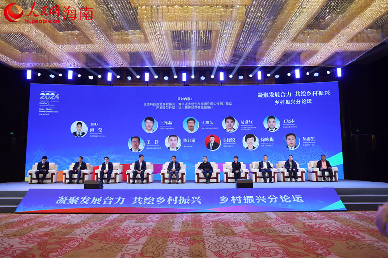鄉(xiāng)村振興分論壇活動(dòng)現(xiàn)場。人民網(wǎng)記者 孟凡盛攝